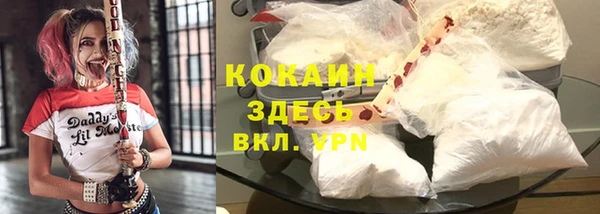 тгк Абаза