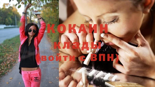 шишки Абинск