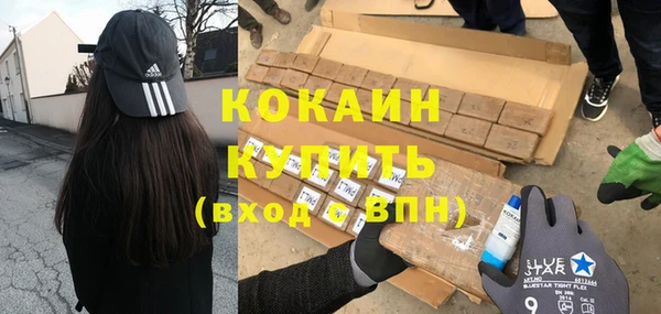 тгк Абаза