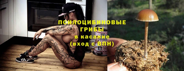 шишки Абинск